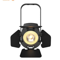 Chauvet DJ - EVE Track Fresnel (Eve TF-20X)