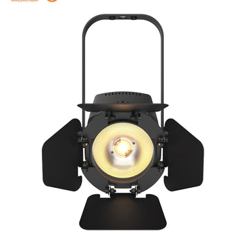 Chauvet DJ - EVE Track Fresnel (Eve TF-20X)