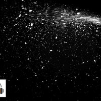 Chauvet DJ - Snow Fluid