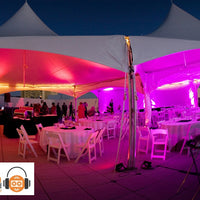 Chauvet DJ - SlimPAR 56